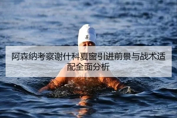 阿森纳考察谢什科夏窗引进前景与战术适配全面分析